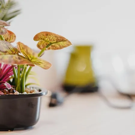 28 Hotel apartamentowy